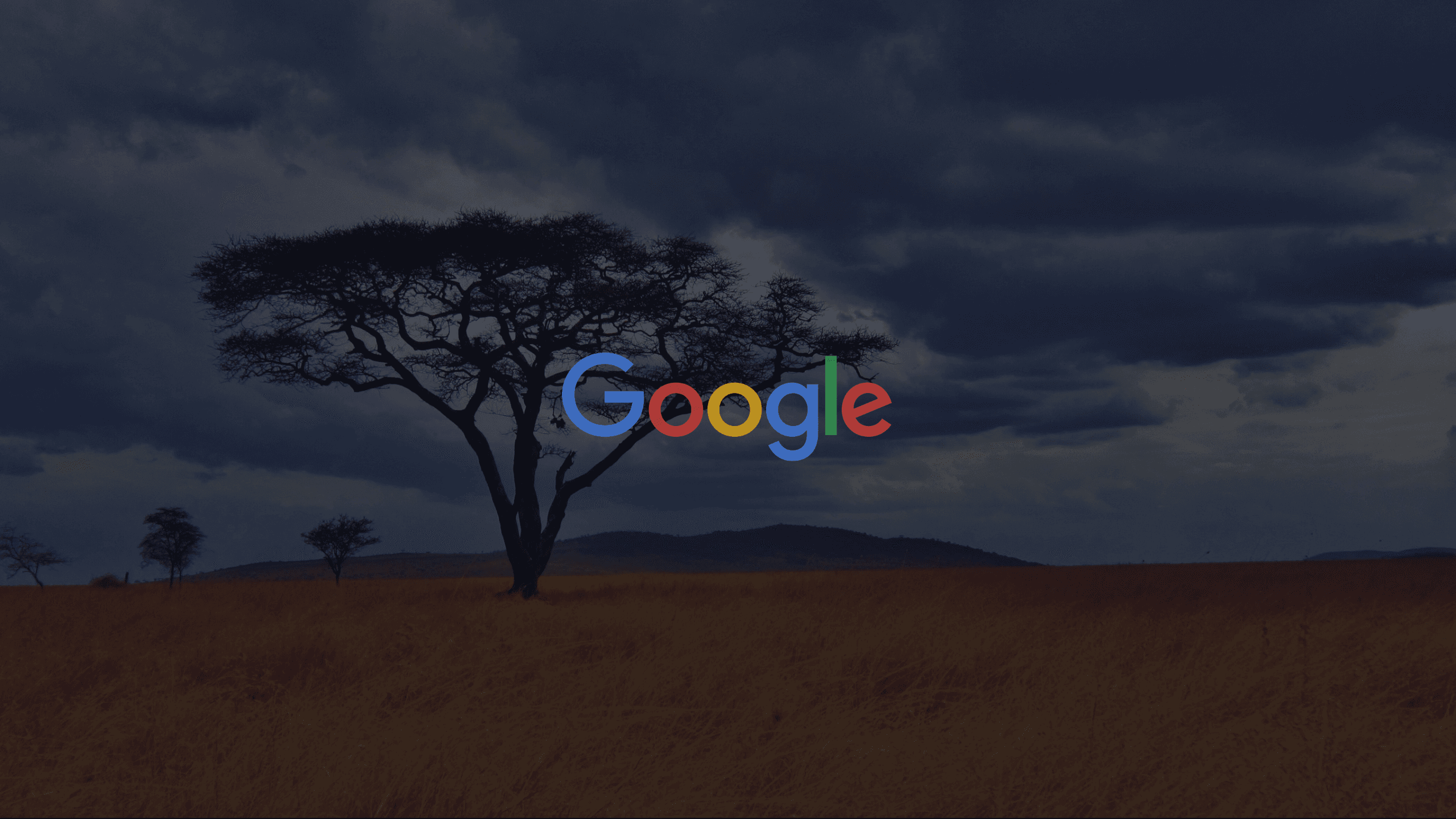 teKsafari is now supported by google